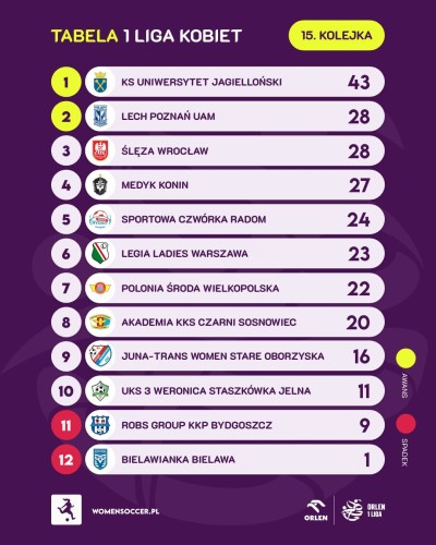 Tabela Orlen 1 Liga po 15. kolejkach sezonu 2024/2025