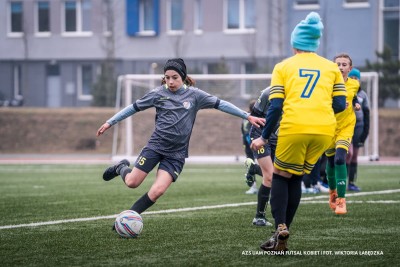 Poznańska Liga Orliczek